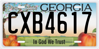 GA license plate CXB4617