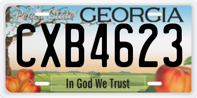 GA license plate CXB4623