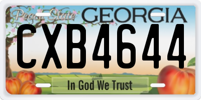 GA license plate CXB4644