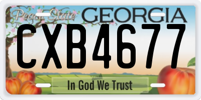 GA license plate CXB4677