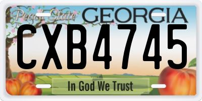 GA license plate CXB4745