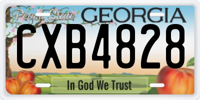 GA license plate CXB4828