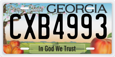 GA license plate CXB4993
