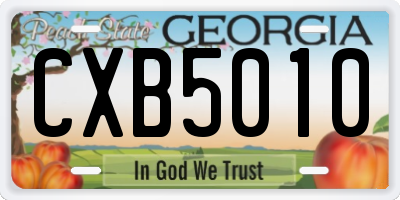 GA license plate CXB5010
