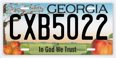 GA license plate CXB5022