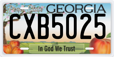 GA license plate CXB5025