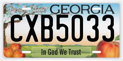 GA license plate CXB5033
