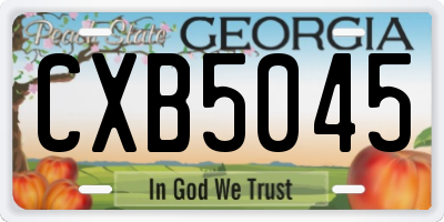 GA license plate CXB5045