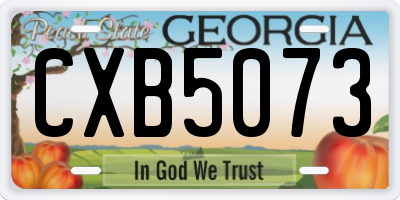 GA license plate CXB5073