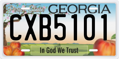 GA license plate CXB5101