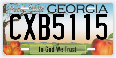 GA license plate CXB5115