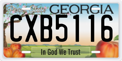 GA license plate CXB5116