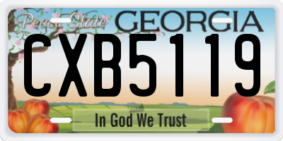 GA license plate CXB5119