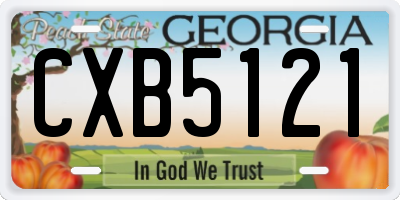 GA license plate CXB5121