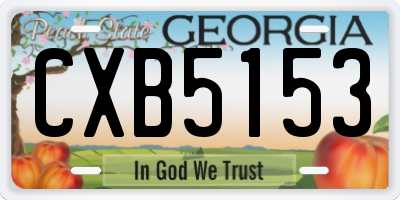 GA license plate CXB5153