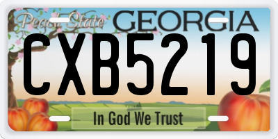 GA license plate CXB5219