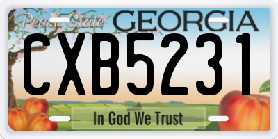 GA license plate CXB5231