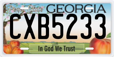 GA license plate CXB5233