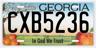 GA license plate CXB5236