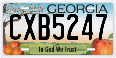 GA license plate CXB5247