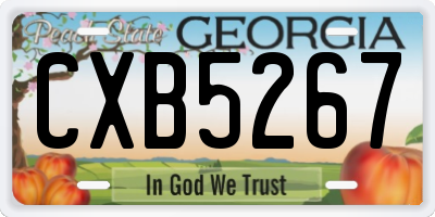 GA license plate CXB5267