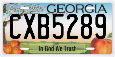 GA license plate CXB5289