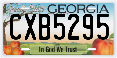 GA license plate CXB5295