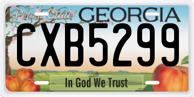 GA license plate CXB5299