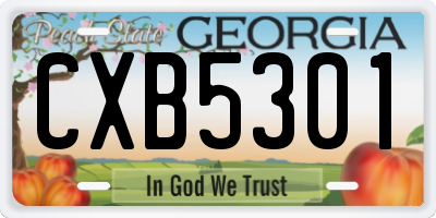 GA license plate CXB5301