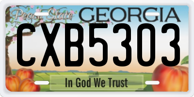 GA license plate CXB5303