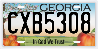 GA license plate CXB5308