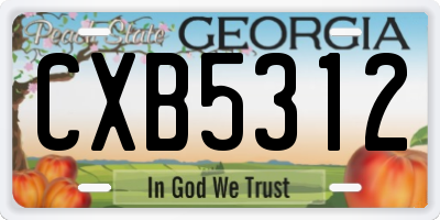 GA license plate CXB5312