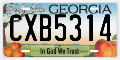 GA license plate CXB5314