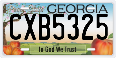 GA license plate CXB5325