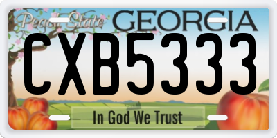 GA license plate CXB5333