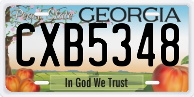 GA license plate CXB5348