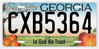 GA license plate CXB5364