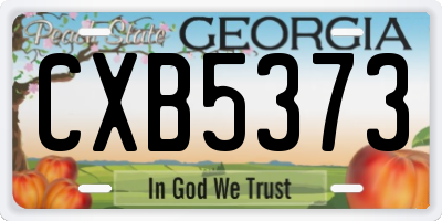 GA license plate CXB5373
