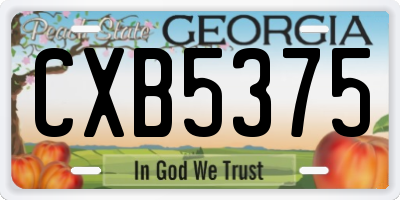 GA license plate CXB5375
