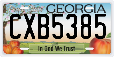 GA license plate CXB5385