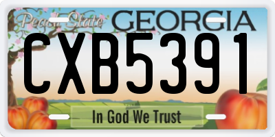 GA license plate CXB5391