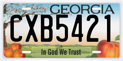 GA license plate CXB5421