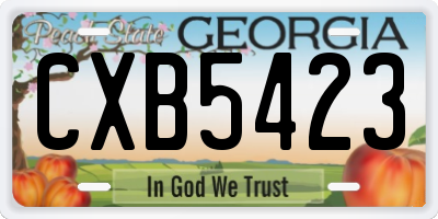 GA license plate CXB5423