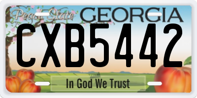 GA license plate CXB5442