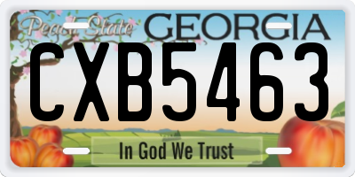 GA license plate CXB5463