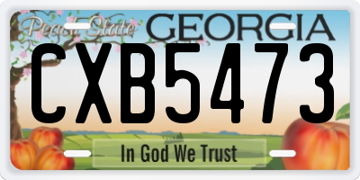 GA license plate CXB5473