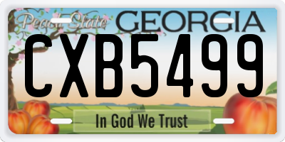 GA license plate CXB5499