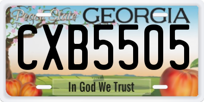 GA license plate CXB5505