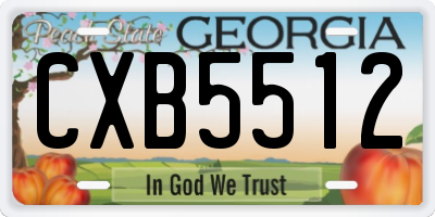 GA license plate CXB5512