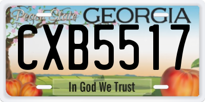 GA license plate CXB5517